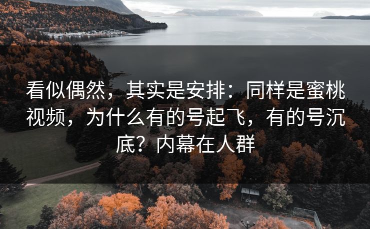 看似偶然，其实是安排：同样是蜜桃视频，为什么有的号起飞，有的号沉底？内幕在人群